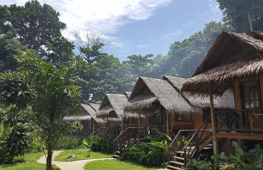 Jungle Garden-1