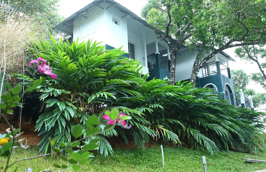 Munnar Tea Hills Resort - Mthr-1