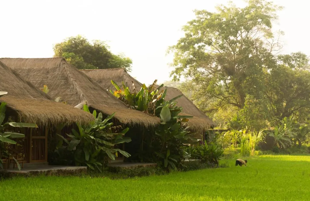 Sapulidi Resort Spa & Gallery Bali-1