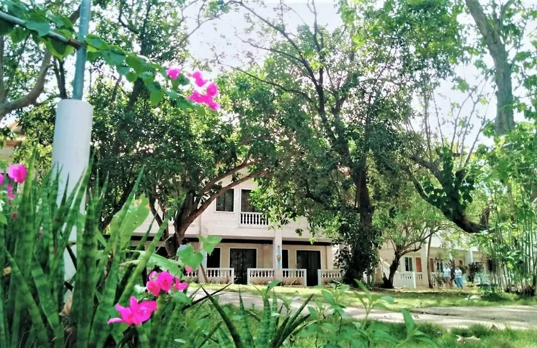La Sirenita-1