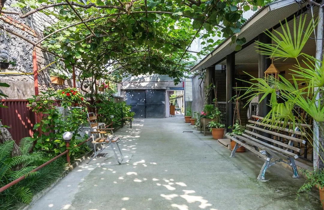 The Kiwi House-1