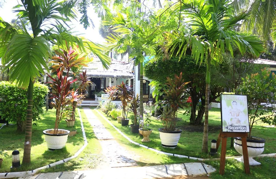 Coconut Beach Lodge-1