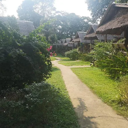 Jungle Garden-2