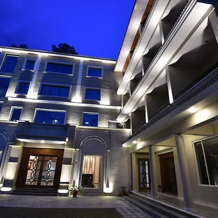 Justa Palampur Resort & Convention Centre-3