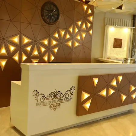 Hotel D Silverleaf-2