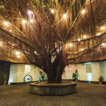 Artisan Villa-2