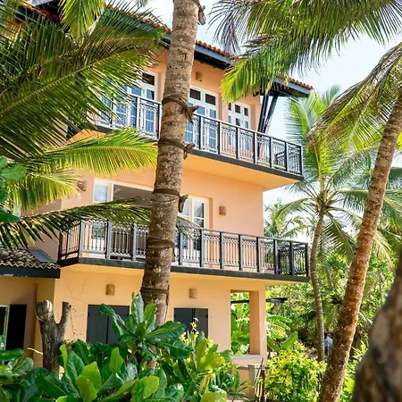 The Slow Vegan Hotel-2