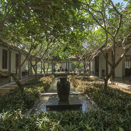 The Frangipani Tree By Edwards Collection - Thalpe-2