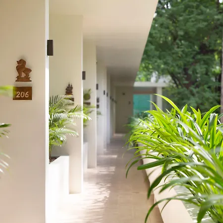 Fcc Angkor By Avani-2