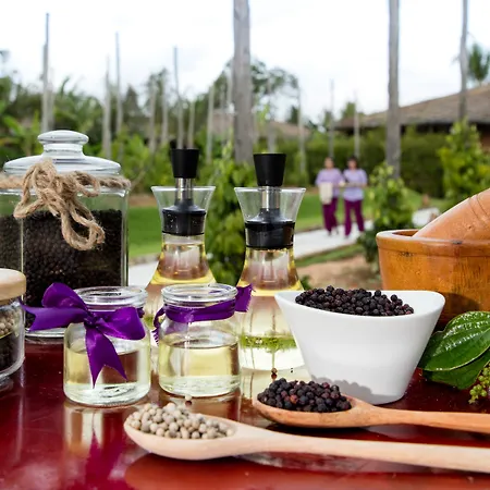 Fusion Resort Phu Quoc - All Spa Inclusive-3