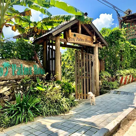 Eco Palms House - Sapa Retreat-2