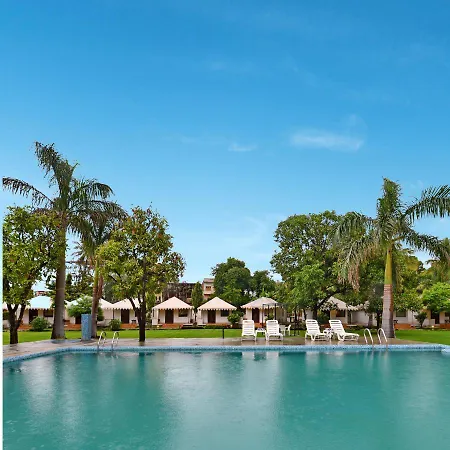 Shree Vilas Orchid - A Pichola Lake Facing Resort-3