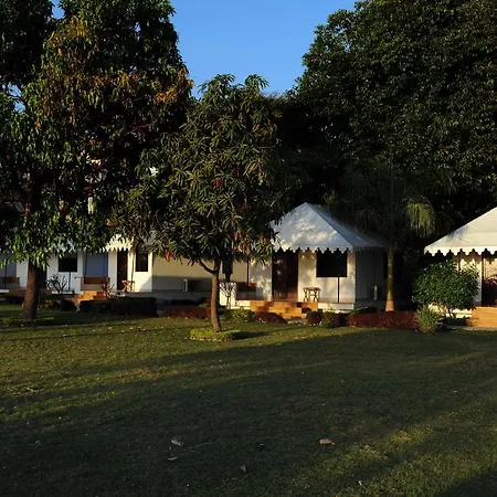 Shree Vilas Orchid - A Pichola Lake Facing Resort-2