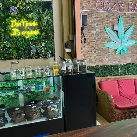 Cozy Place-3