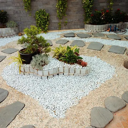 Dolce Mia Home - Pho Co Hoa Lu, Ninh Binh-2