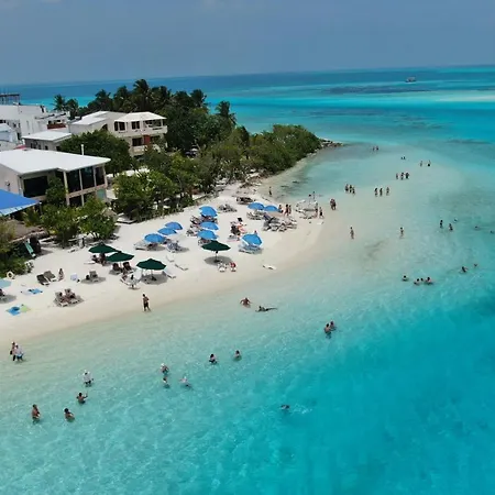 Bibee Maldives-3