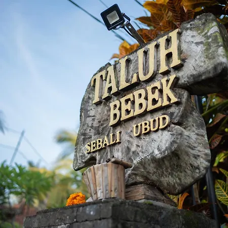 Taluh Bebek Ubud Private Villas-2