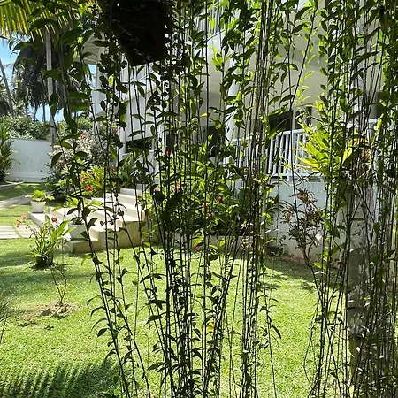 Plantation House-2