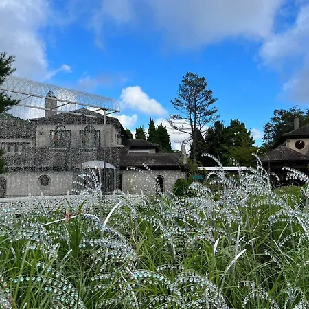 Fuji-Hakone Guest House-2