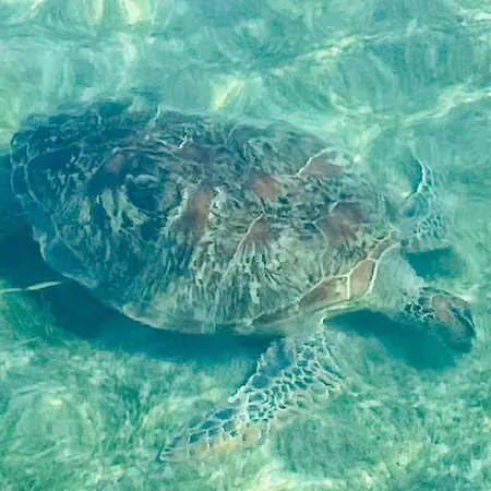 Follow Your Dreams Gili Air-3