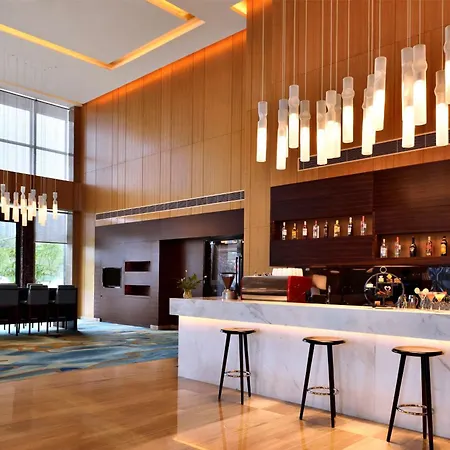 Hilton Garden Inn Chengdu Huayang-2
