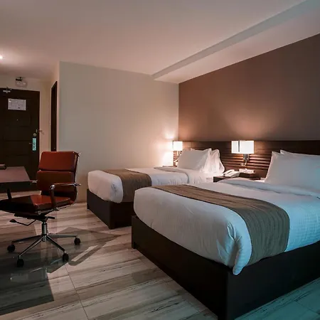 Hotel Areca-3