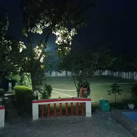 Achal Farm-3