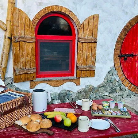 Cozy House-3