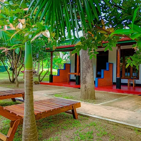 Pride Rock Villa & Tree House-3
