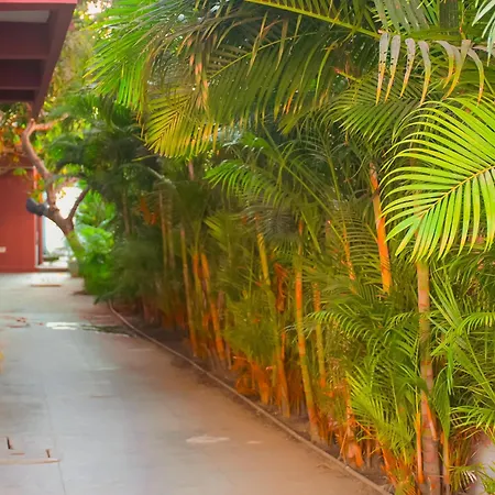 Naksha Tree Hotels- Ramapuram-3
