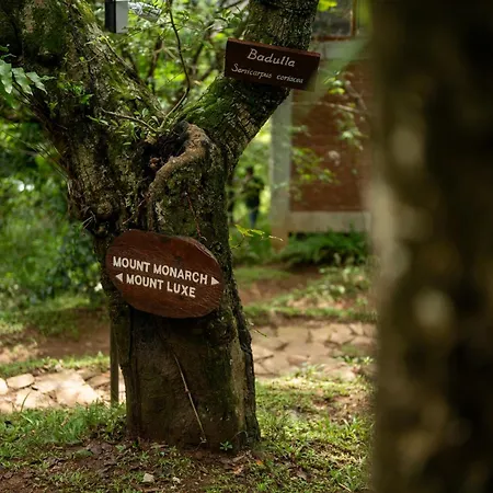 Treehouse Chalets - A Curated Experience Of Unique Waterfall Treks And Scenic Hikes-2