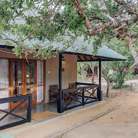 Cinnamon Wild Yala-2