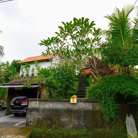 Green Coconut Cottage-2