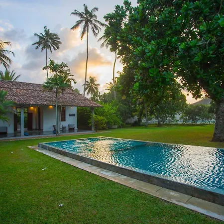 The Frangipani Tree By Edwards Collection - Thalpe-3