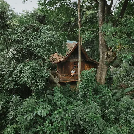 Our Jungle House-2
