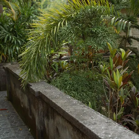 Puri Alam Bali-2