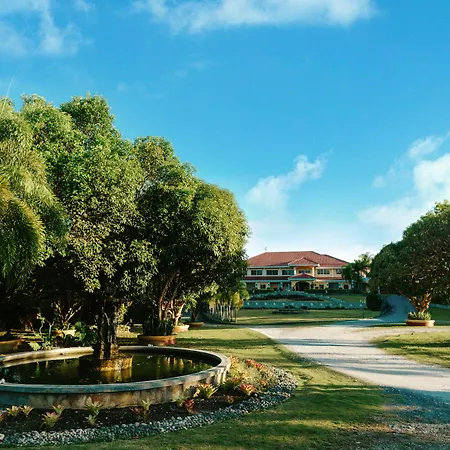 The Peacock Garden-2
