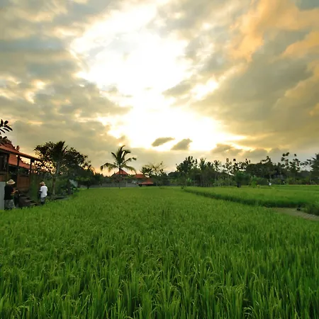Kajane Yangloni At Ubud Bali-3