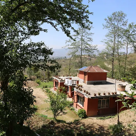 Hotel Mount Paradise-3