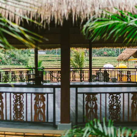 Honai Resort-3