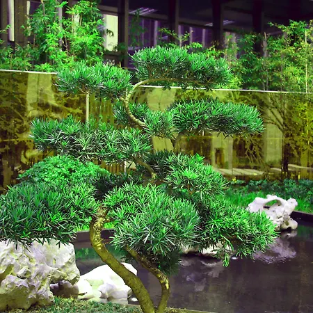 Hualuxe Wuxi Taihu-3