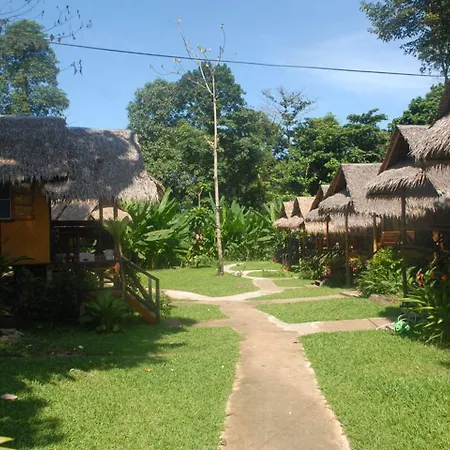 Jungle Garden-3