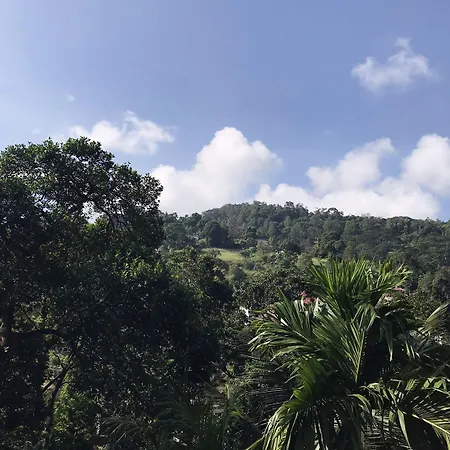 Cloud Inn Kandy Homestay - Near Temple Of Tooth - Free Pickup From Kandy City If 2Ngt-2