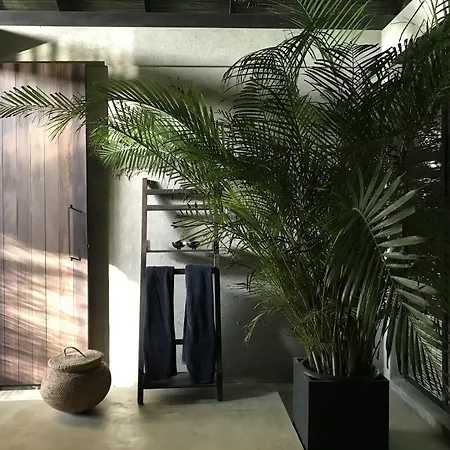 Kaju Green Eco Lodges-3