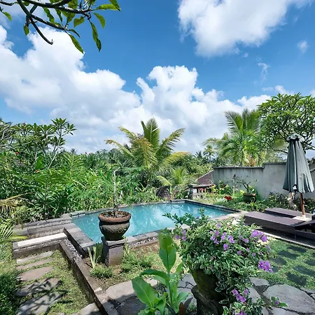 Taluh Bebek Ubud Private Villas-3