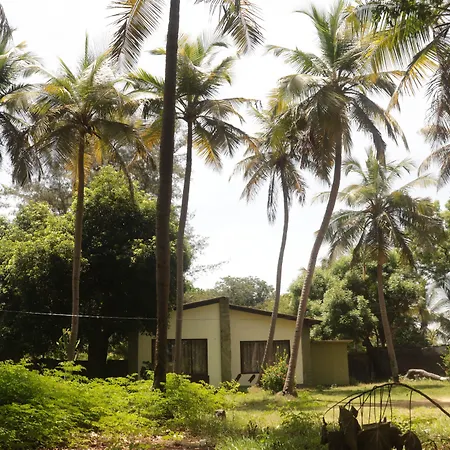 Golden Sun Beach Resort-2