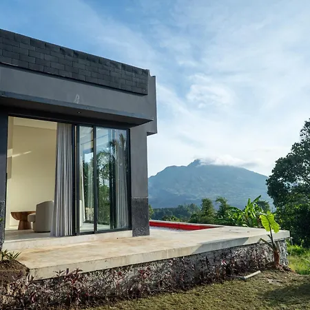 Desa Oculus-2