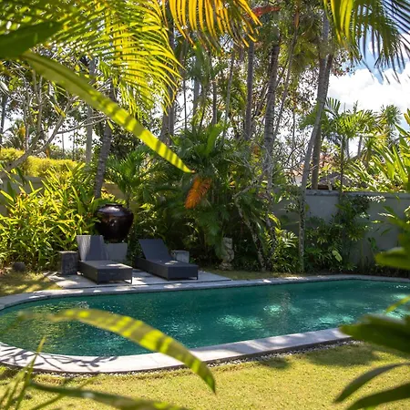 The Amala Boutique Retreat-2