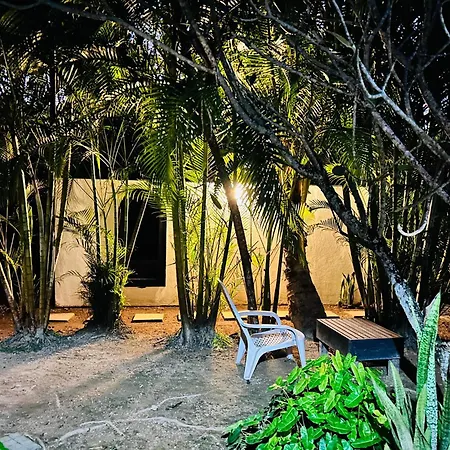 Turtle Eco Beach-3