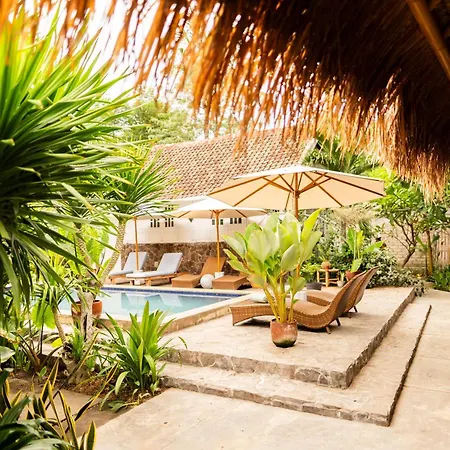 Buena Vibra Bungalows-3